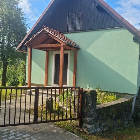 Forest Chalet Zalesina Eksteriør billede